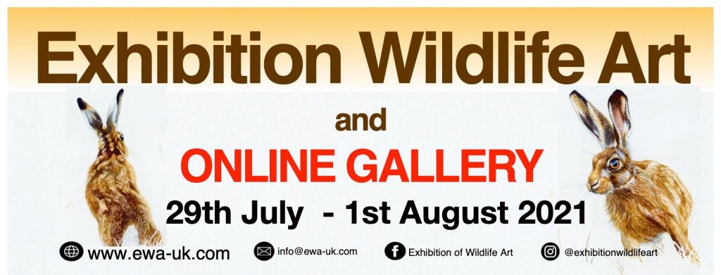 advertising banner. Exhibition Wildlife Art and online gallery 29th July to 1st August 2021