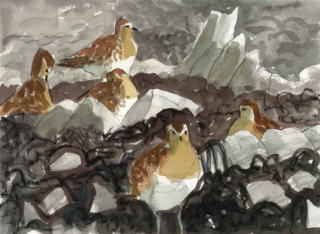 a watercolour, pencil and crayon sketch of Golden plover roosting amongst rocks and seaweed